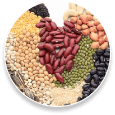 ProstaPure Ingredients